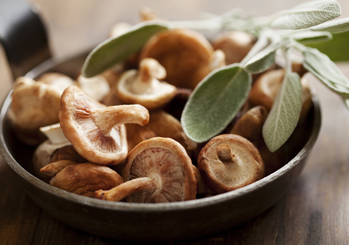 Tehnologia de procesare a ciupercilor shiitake IQF